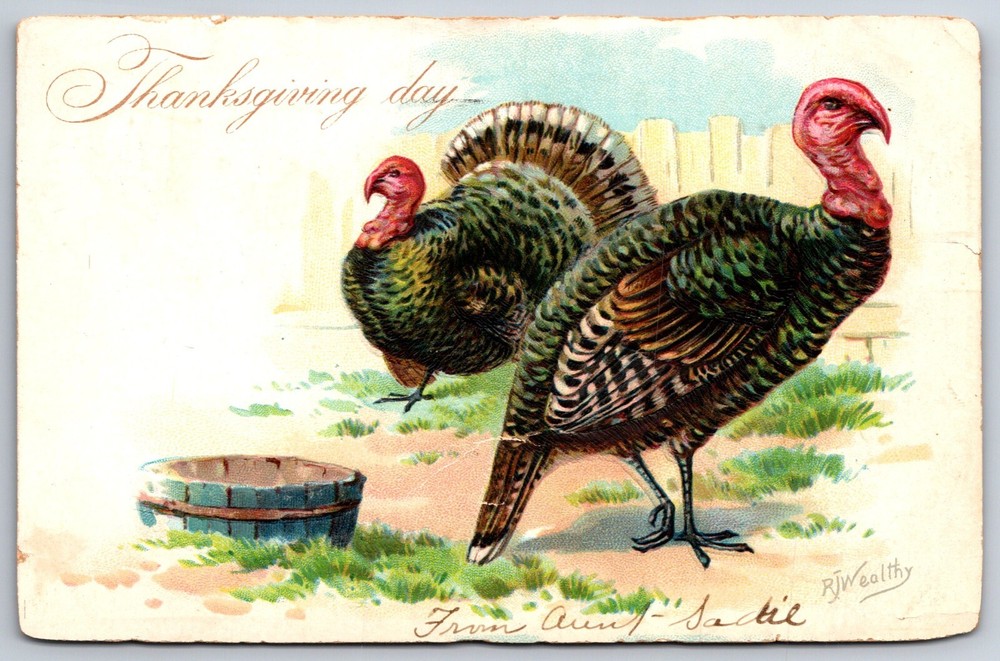 TUCK~Thanksgiving Day~Turkeys In Fenced Area Scene~PM 1906~Emb~Vintage Postcard