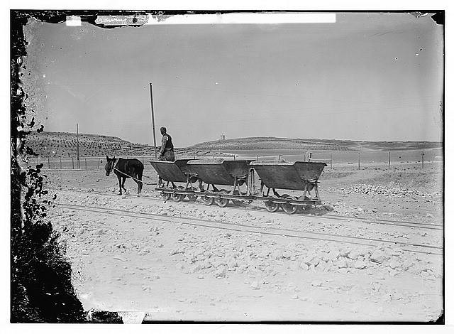 German Baghdad Railway, 190_. Mule hauling equipment on track near Aleppo