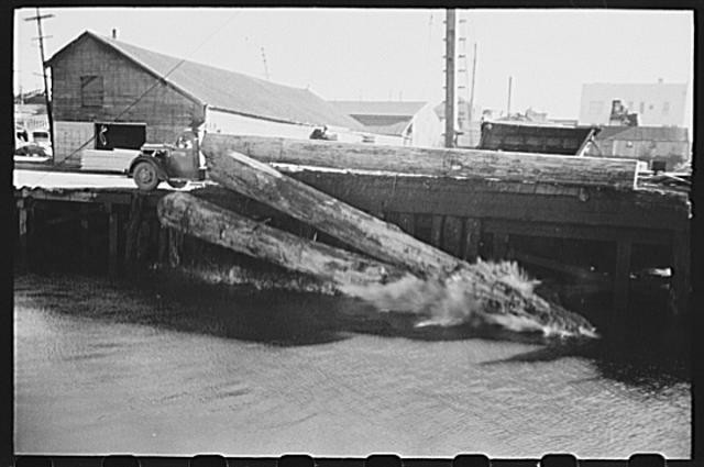 Photo:Logs roll into the pond, Tillamook County, Oregon