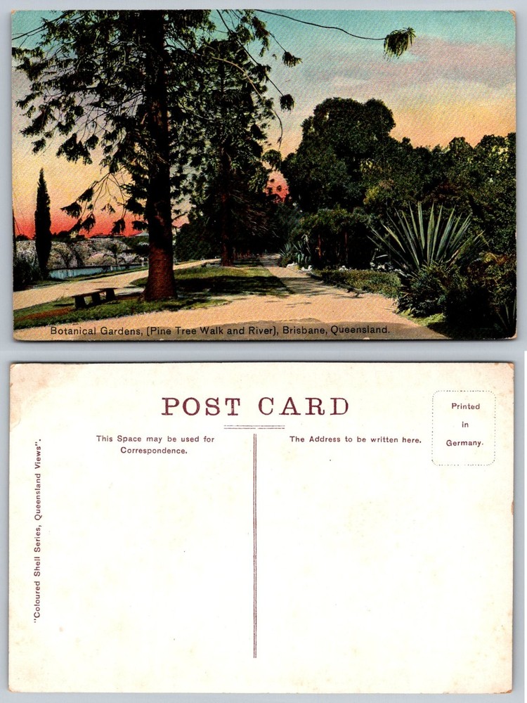 Botanical Gardens Brisbane Queensland Pine Tree Walk River Germany Postcard