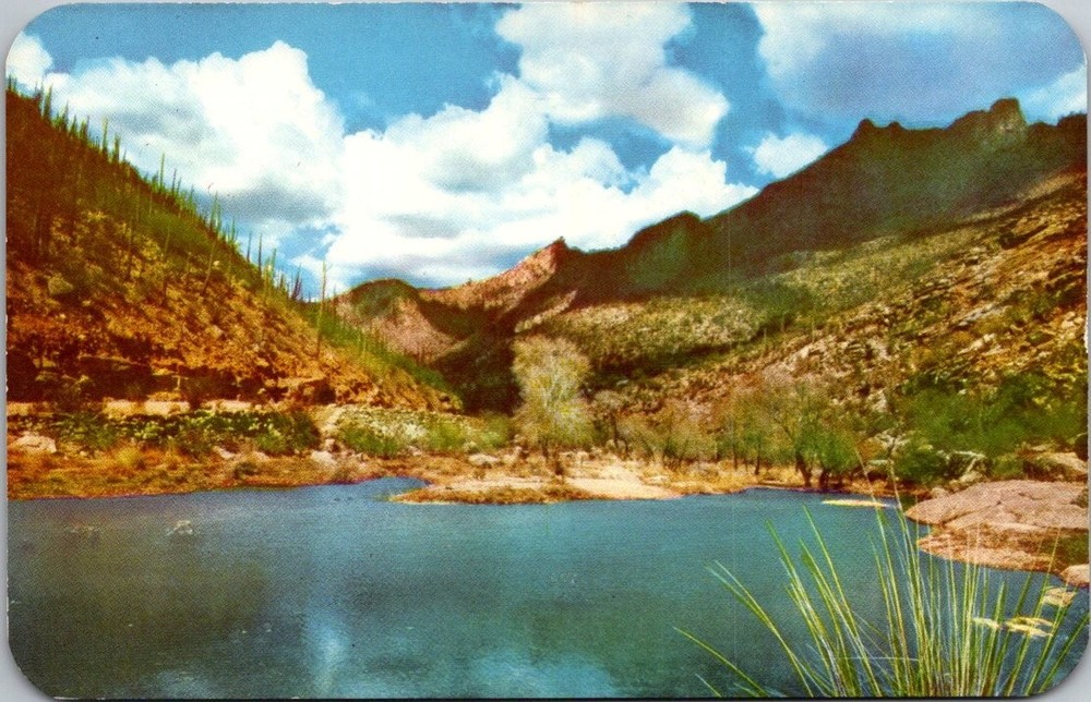 Sabino Canyon Tucson Arizona 
