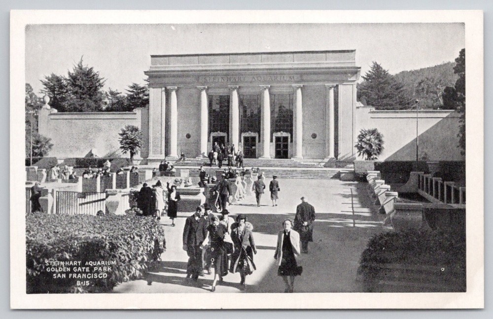 Steinhart Aquarium Golden Gate Park San Francisco CA Postcard 1920s
