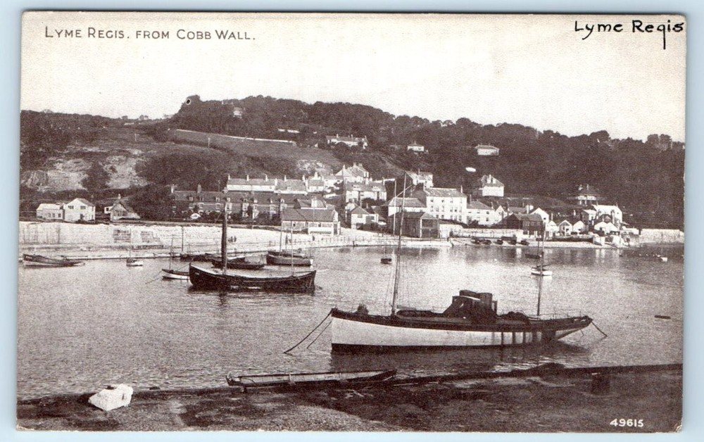 LYME REGIS from Cobb Wall DORSET England UK Postcard