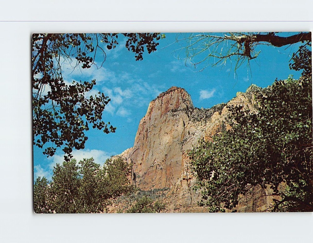 Postcard The Sentinel Zion National Park Utah USA