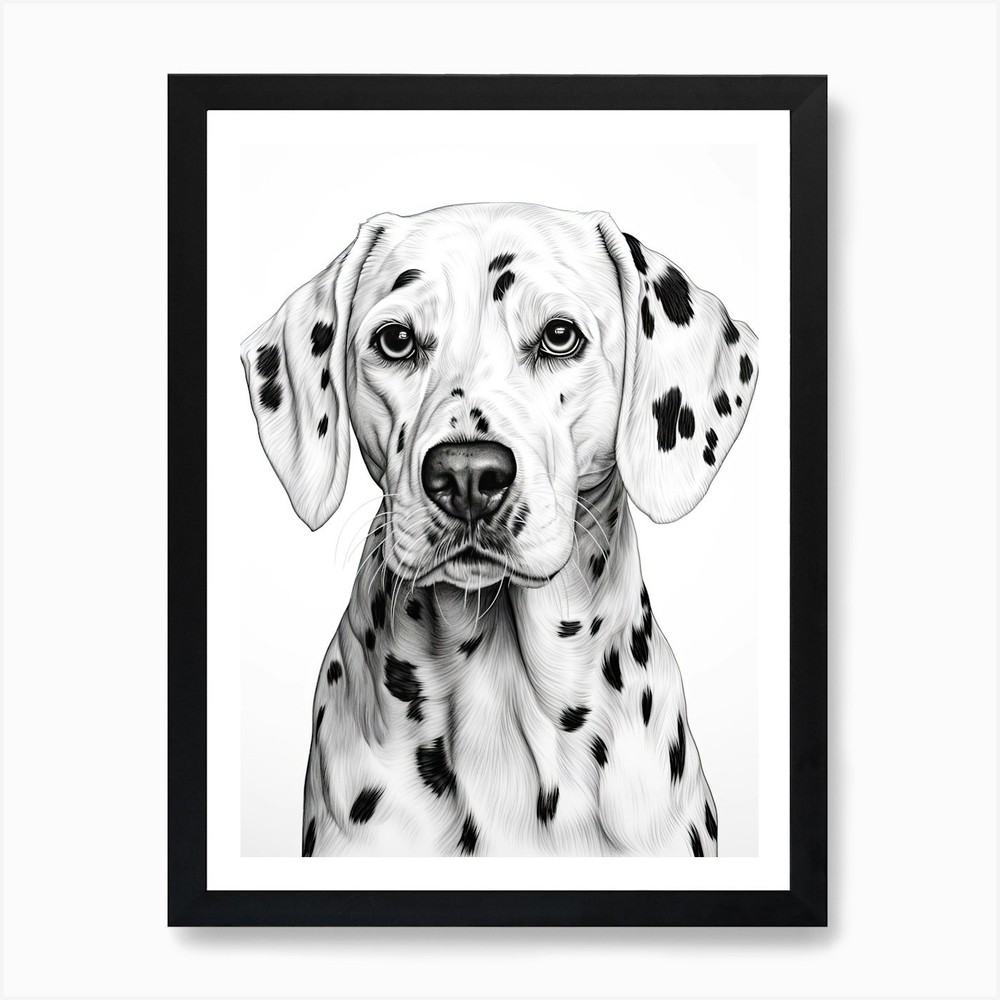 Dalmatian Dog Line Drawing Framed Wall Art Canvas Print