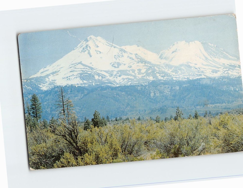 Postcard Mount Shasta California USA