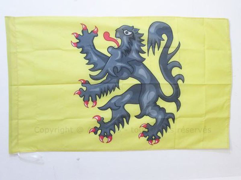 3x5 French Province of Flanders and Hainaut Flag with Pole Sleeve - County of Mont