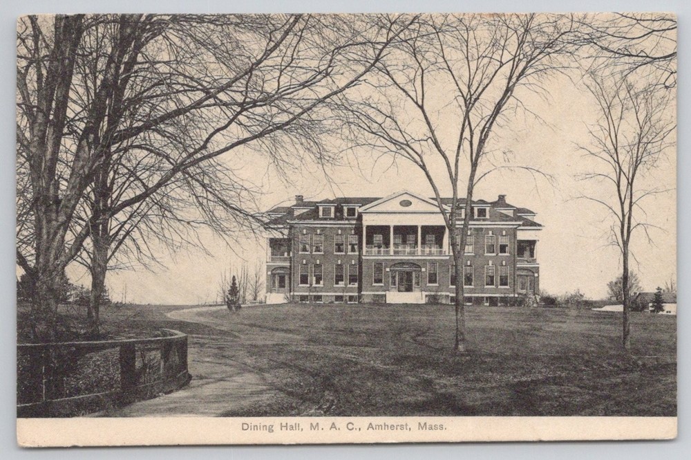 1911 Dining Hall M.A.C. Amherst, Mass. Posted RPPC Postcard Hockey Mention