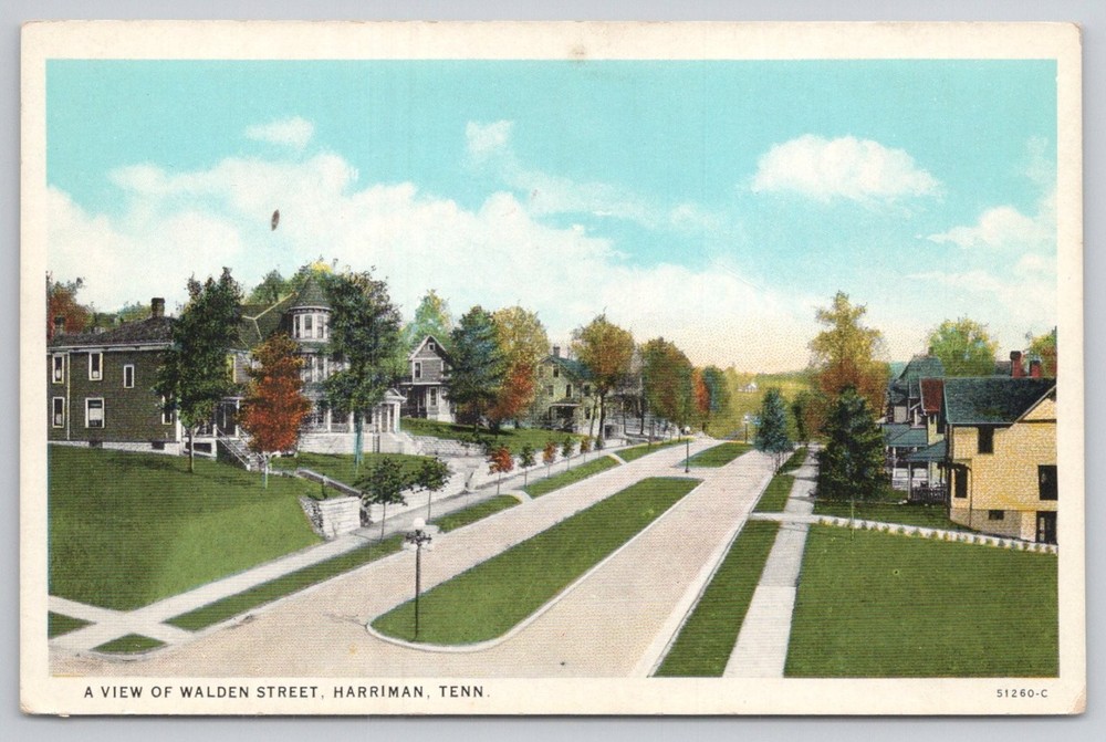 Walden Street Harriman TN Postcard Early 1900s C.T. American Art