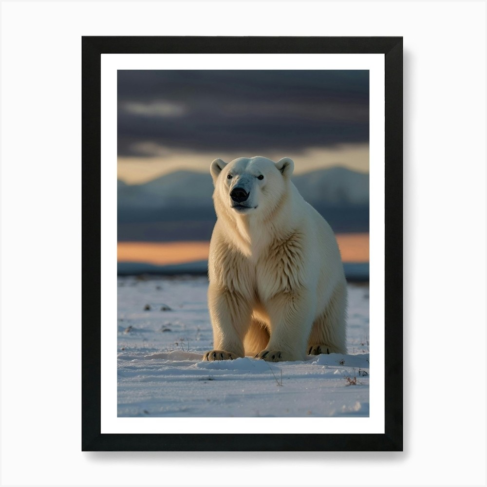 Polar Bear 1 Art Print Framed Wall Art Poster Canvas Print Picture