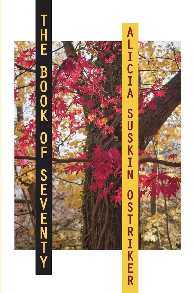 The Book of Seventy (Pitt Poetry Series) - paperback Ostriker, Alicia Suskin