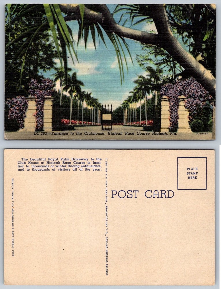 Hialeah Race Course Florida Vintage Linen Postcard Clubhouse Entrance Palms