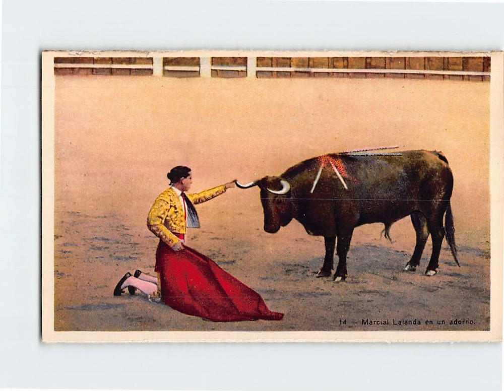 Postcard Bull Fight Scene