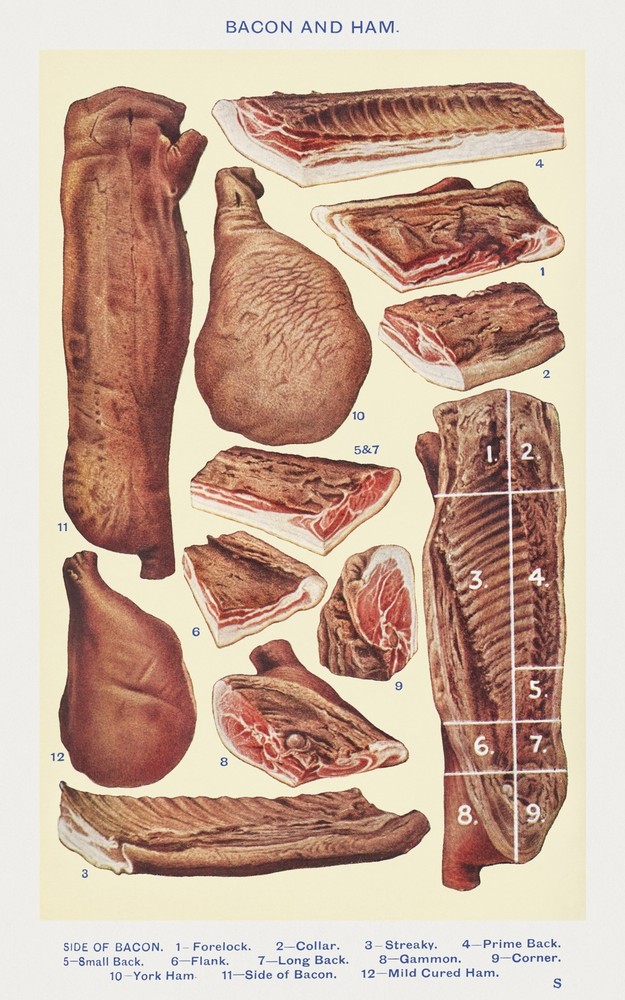 12012.Decoration Poster.Home interior design.Room wall art decor.Meat.Butcher