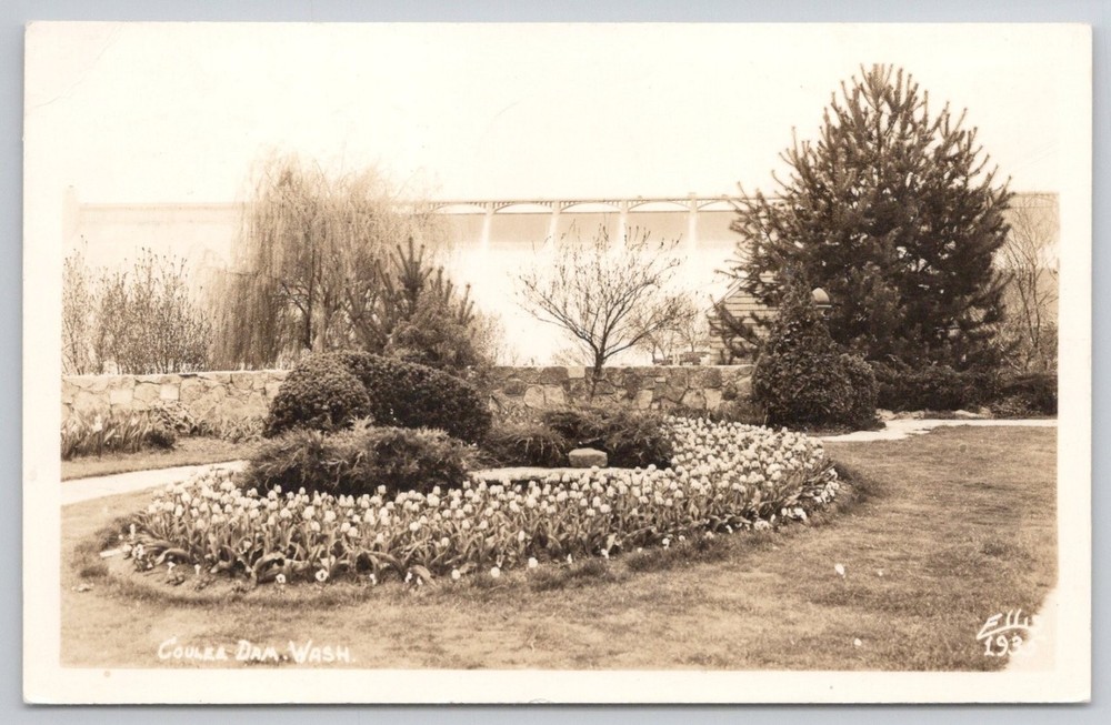 Coulee Dam Washington RPPC Postcard 1943 Tulips Garden Ellis Photo