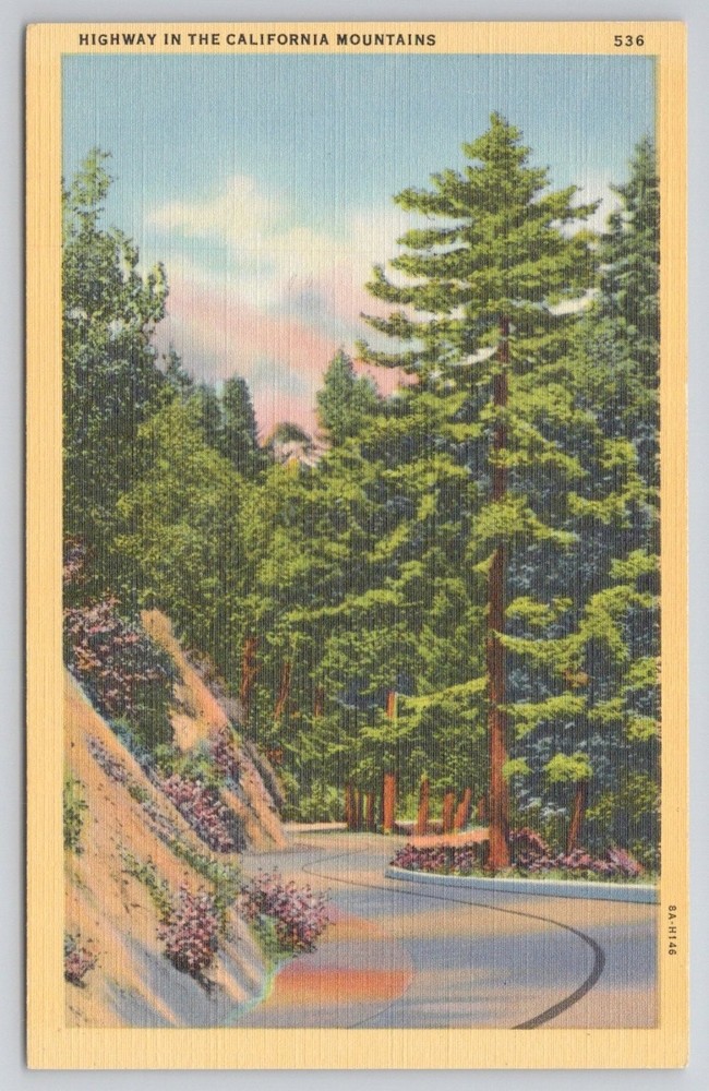 Vintage Linen Postcard - Highway in the California Mountains Scenic View