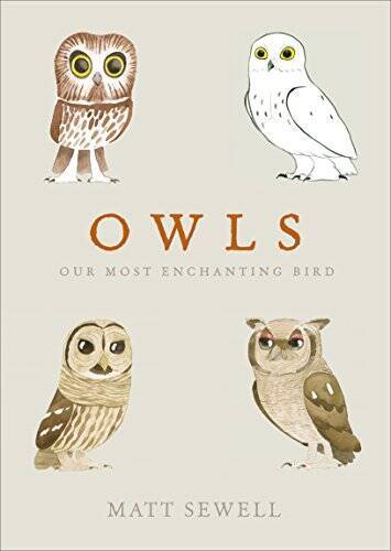 Owls: Our Most Enchanting Bird - Hardcover By Matt Sewell - GOOD