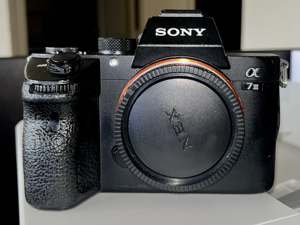 Sony a7 III 24.2 MP Mirrorless (Body Only) and Shimbol Field Monitor