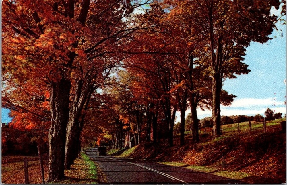 Elizabethtown NY Adirondacks Autumn Road Plastichrome Postcard 1950s