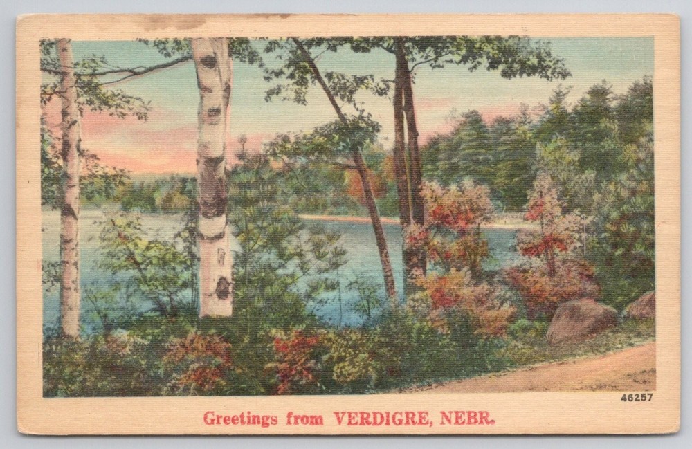 Vintage Greetings from Verdigre NEBR. Scenic Lake Birch Trees Postcard NYCE