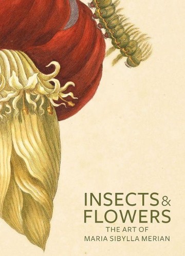 . Brafman Insects and Flowers – The Art of Maria Sibylla Merian (Paperback)Another great item from Rarewaves USA | Free delivery!