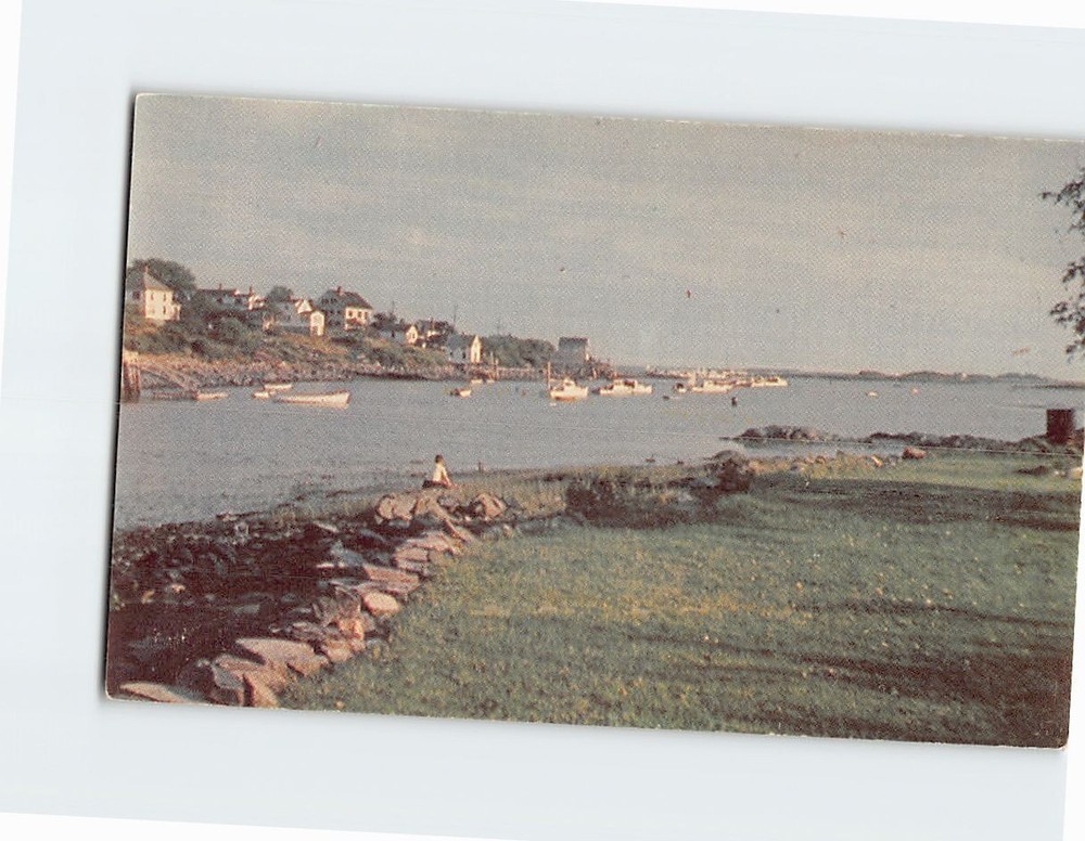 Postcard View of Harbor Cape Porpoise Maine USA