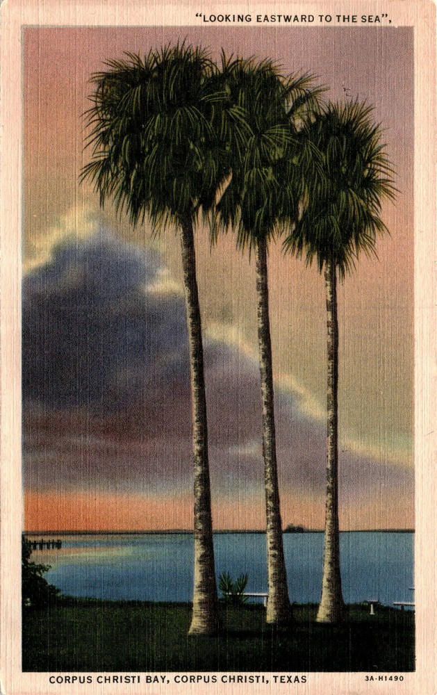 CORPUS CHRISTI BAY, TEXAS, C.T. ART-COLORTONE, Postcard