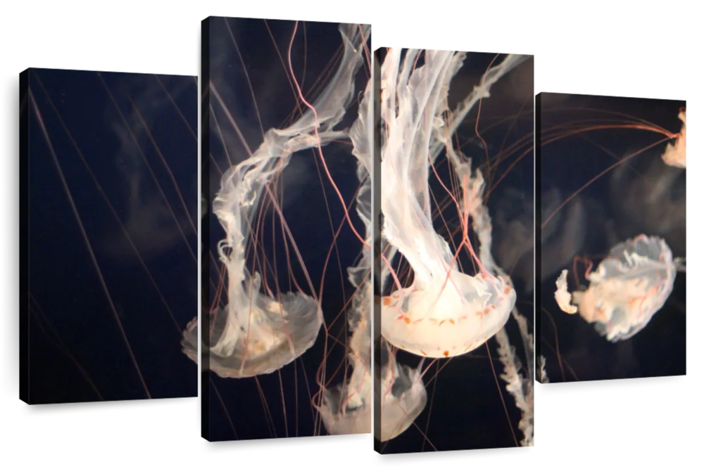 Light Of Jellyfish Wall Art