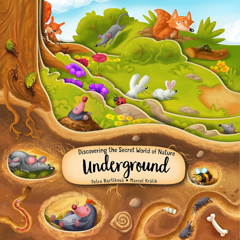 Discovering the Secret World of Nature Underground (Happy Fox Books) Board B...