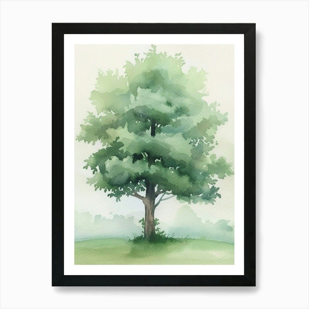 Boxwood Tree Watercolor Framed Wall Art Poster Canvas Print  