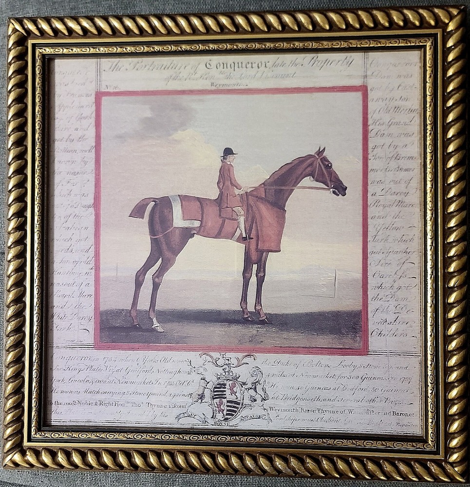 Bombay Company Framed Art Roan Horse Cheval Rouan Equestrian English 19x19