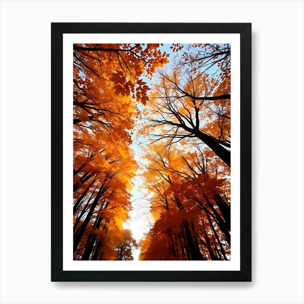 Autumn Forest Trees 2 Framed Wall Art Canvas Print Poster  