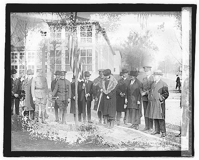 Mrs. Harding at tree planting,Florence King,First Lady of the United States,2