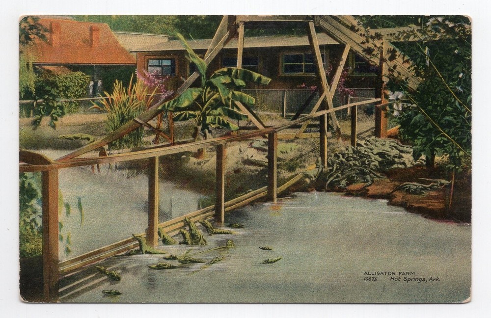 1910s? DB - Alligator Farm - Hot Springs, Arkansas
