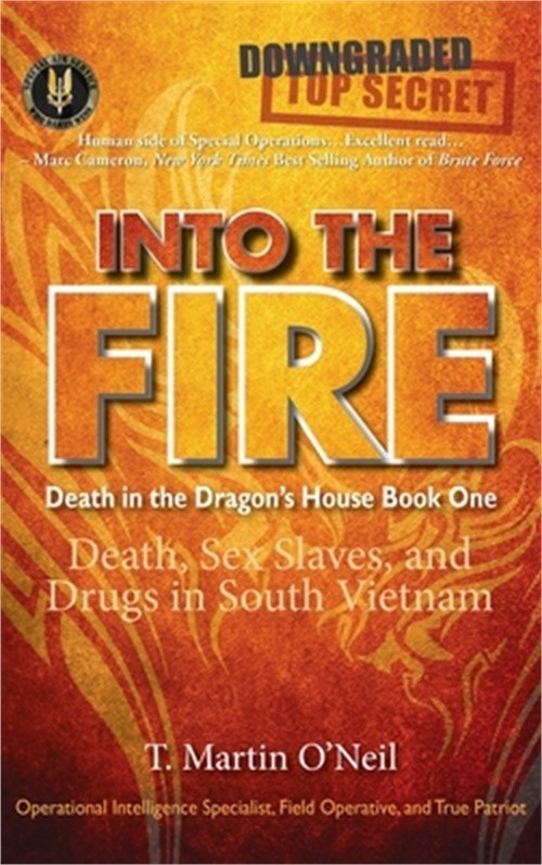 Into the Fire (Hardback or Cased Book)
