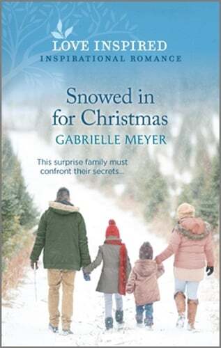 Snowed in for Christmas by Gabrielle Meyer: Used