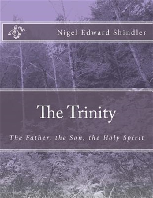 Trinity : The Father, the Son, the Holy Spirit, Paperback by Shindler, Nigel ...