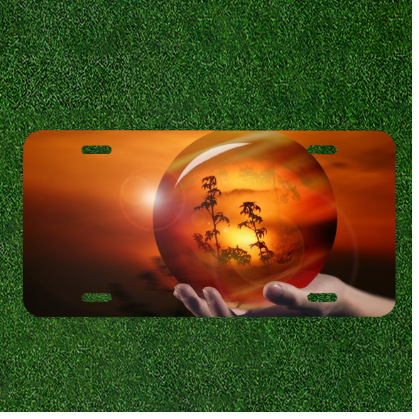Custom Personalized License Plate Auto Tag With Amazing Globe In Hand Design