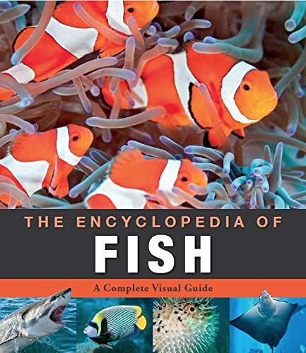 Encyclopedia of Animals Fish by Weldon Owen Book The Fast Free ShippingFREE US DELIVERY | ISBN: 1783420650 | Quality Books