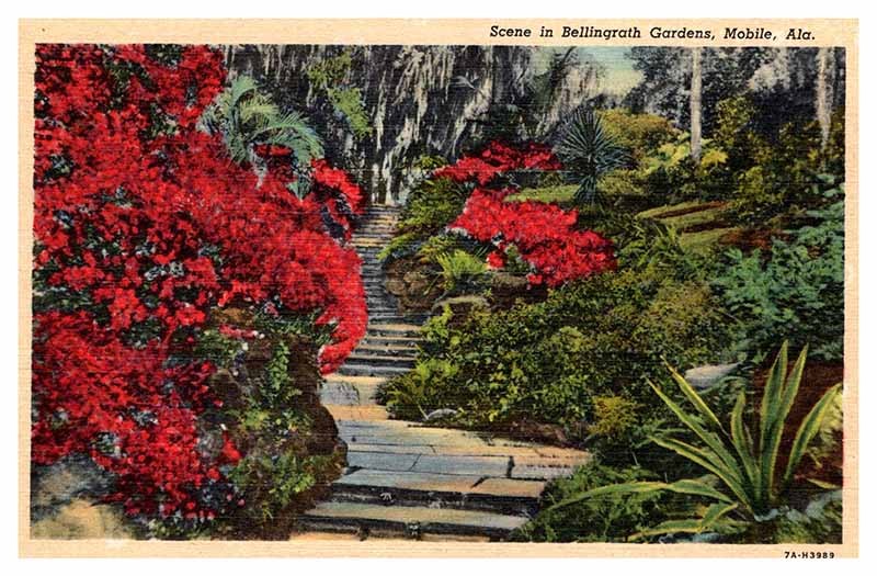 Postcard GARDEN SCENE Mobile Alabama AL m/09 AP5139