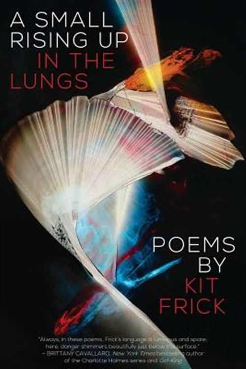 A Small Rising Up in the Lungs by Frick, Kit, Like New Used, Free shipping in...