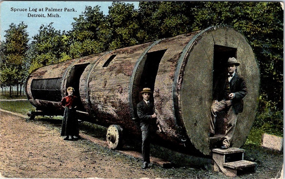 1915, Spruce Log, Palmer Park, DETROIT, Michigan Postcard - Curt Teich