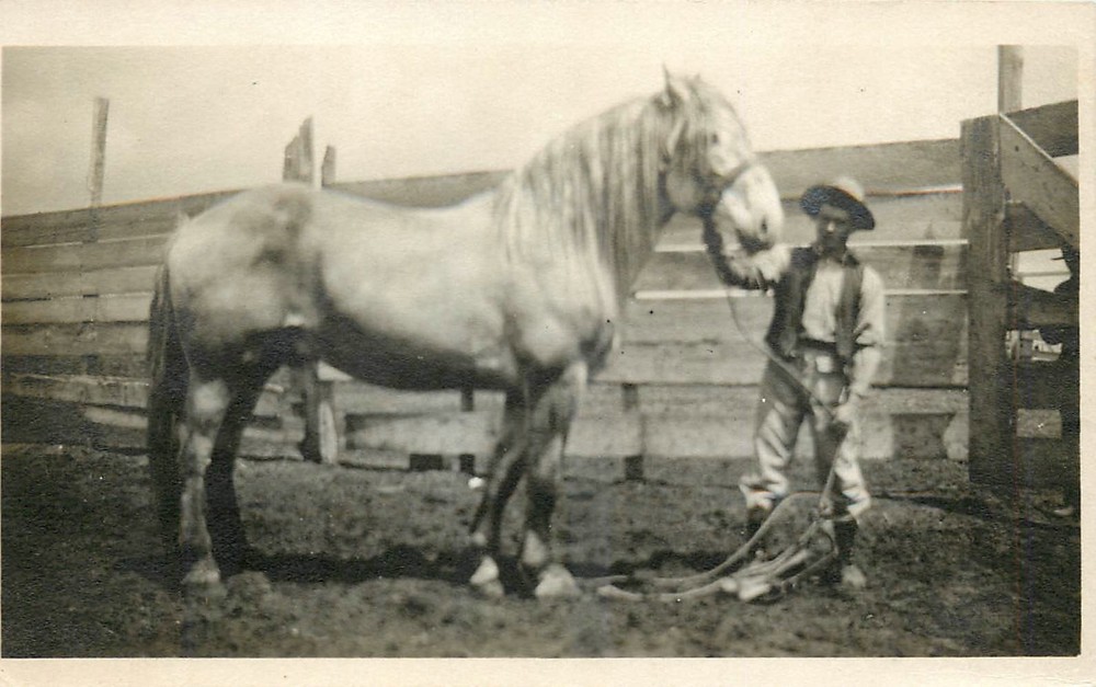 c1910 Cowboy & Horse Corral RPPC Postcard 26-2987