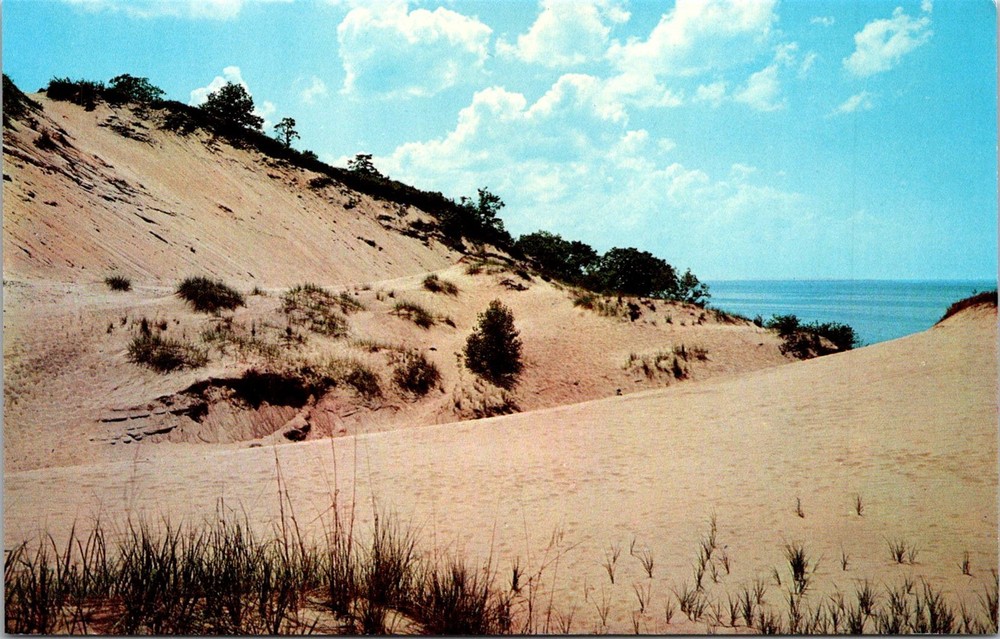 Dr Jim Stamps Postcard Greetings From Michigan City Indiana Dunes Lake Michigan