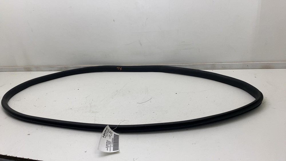 Tesla Model Y 2020-2023 Left Rear Driver Side Door Weatherstrip Seal