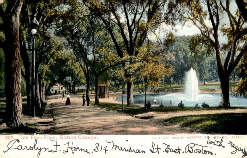Frog Pond, Boston Common, 1905 Postcard