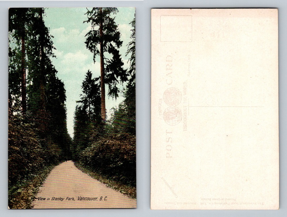 Vancouver, BC-British Columbia, Stanley Park Forest Path Vintage Postcard