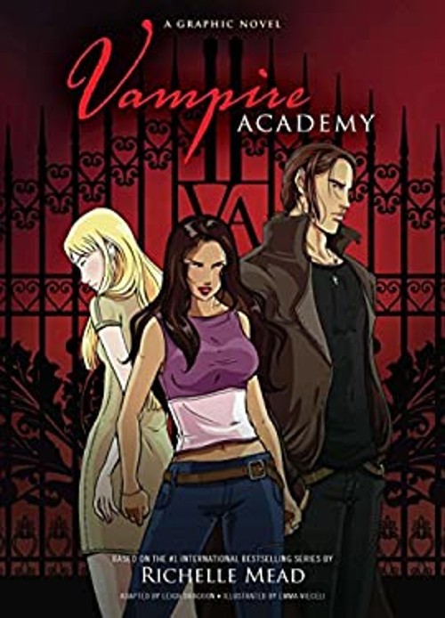Vampire Academy : A Graphic Novel Paperback Richelle MeadFree US Delivery | ISBN:1595144293