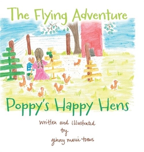 The Flying Adventure (Hardback or Cased Book)