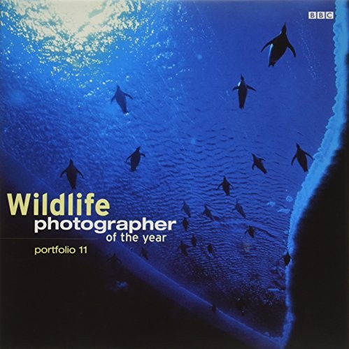 Wildlife Photographer of the Year:  Portfolio 11 (... by Packham, Chris HardbackFREE US DELIVERY | ISBN: 0563534486 | Quality Books